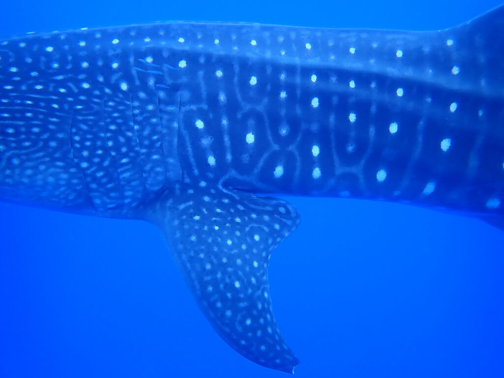 85731b18-bd63-407a-b381-a311ee105a78