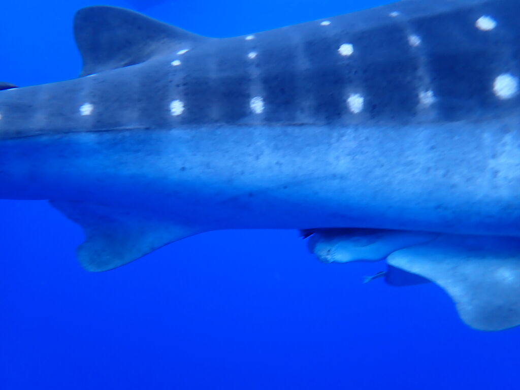 85731b18-bd63-407a-b381-a311ee105a78