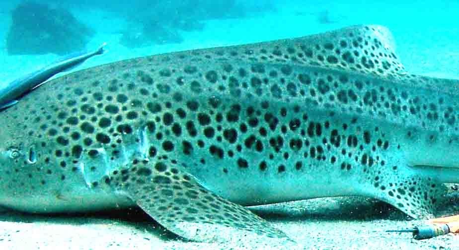 af78e8fc-1e78-4bb7-9490-003aafb4a158