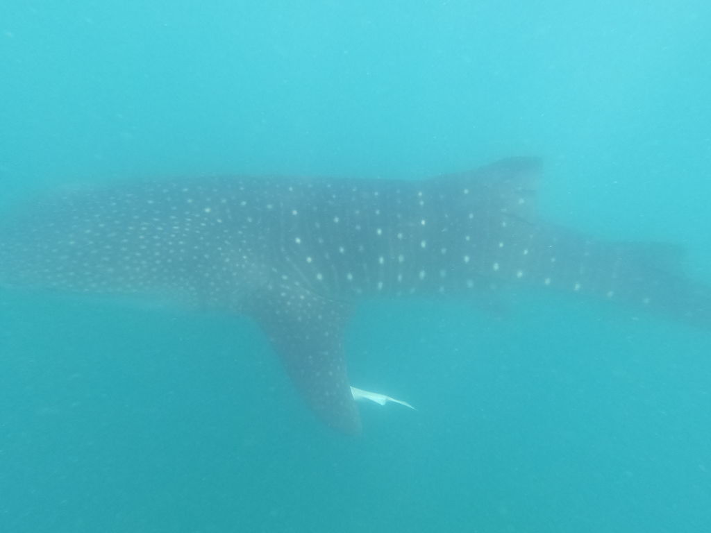 574f7098-e2ad-44f1-928b-2d12f8fd6ea1