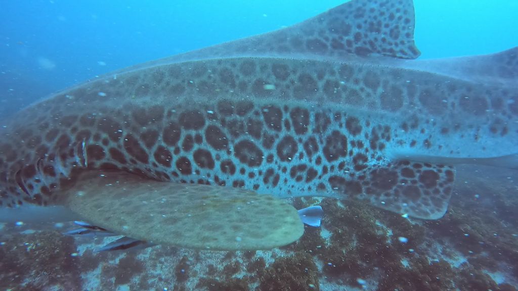 61c4a024-d313-41d4-8522-46529461f5a1