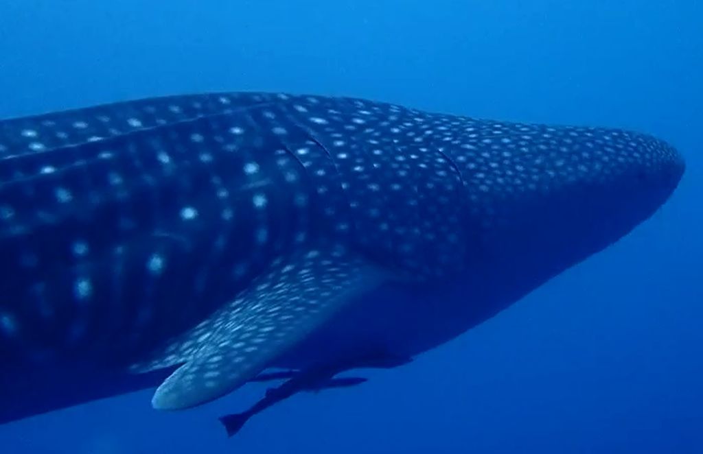 d7624bfa-b8f8-4879-ac92-4743b82d7f0a