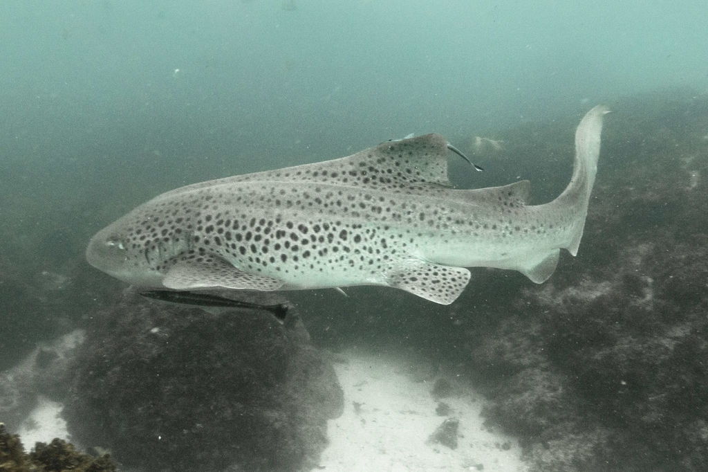 d0523cb8-6d12-4bd6-a78f-febfcf19ce3b