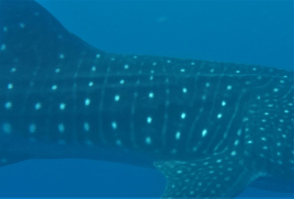 16a22d50-b149-49f6-a4a9-c8d53062ccde