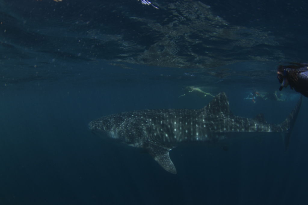 489a1800-543e-4288-ab01-e0defbb3575b