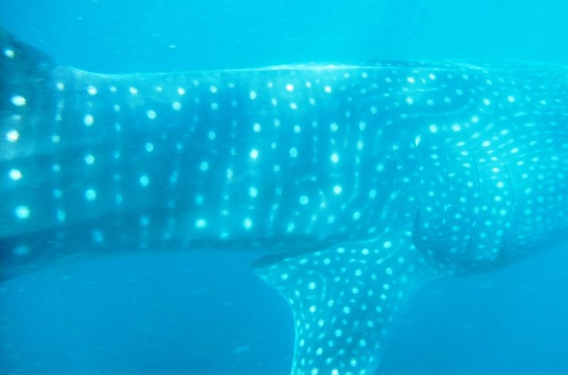 210970d4-a68f-4839-83a0-74d2297674f8