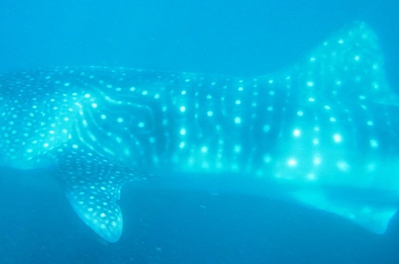 210970d4-a68f-4839-83a0-74d2297674f8