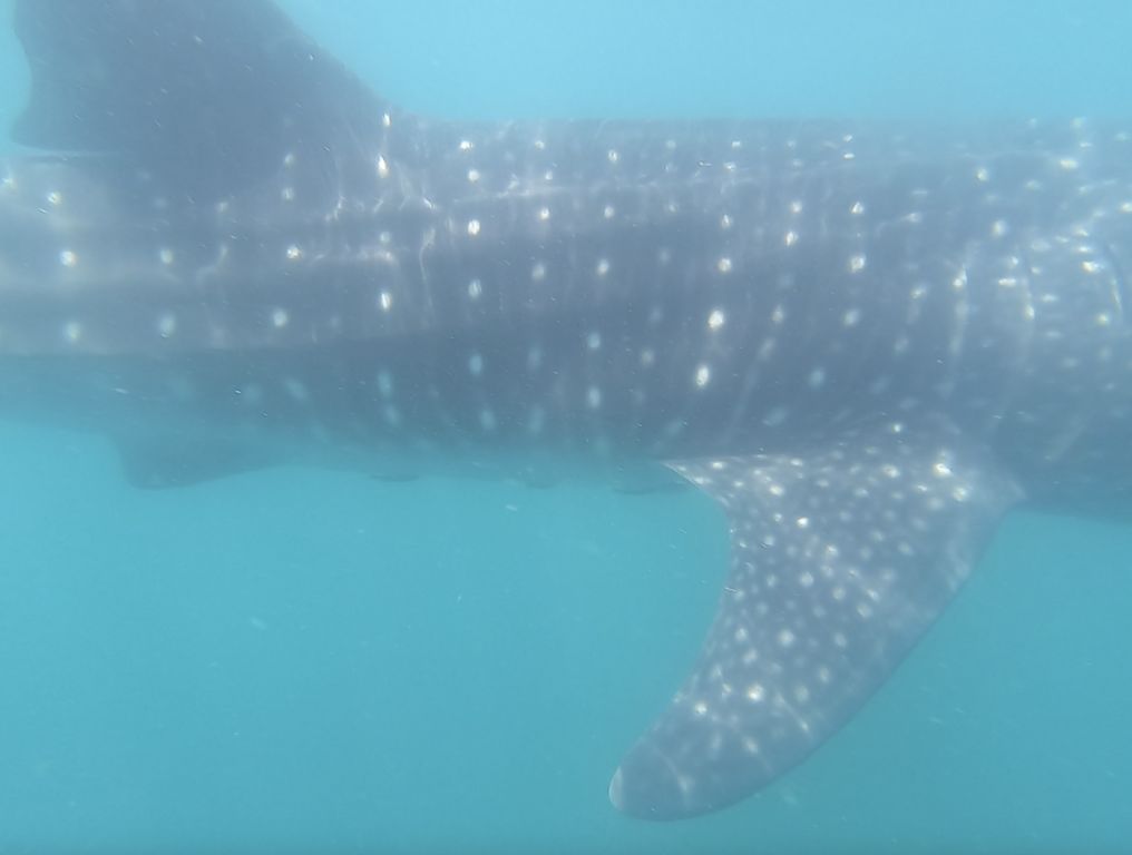 132aa094-db00-4b12-b9c5-17763a4c453d