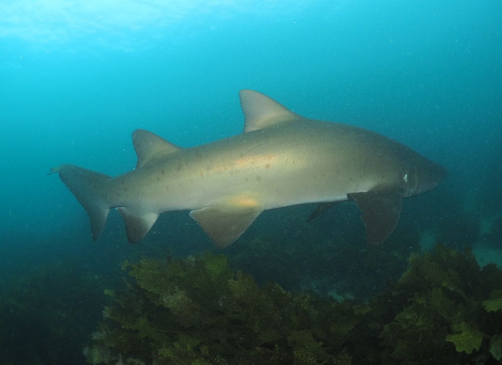 f805e1ed-14ba-42ee-bf7d-83b6d3f49131