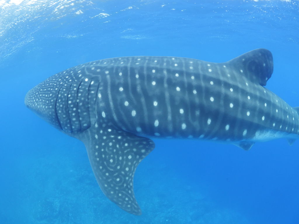 b5c86c1f-2974-4fd5-84a8-2f9a815c2a18