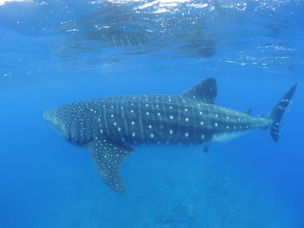 b5c86c1f-2974-4fd5-84a8-2f9a815c2a18