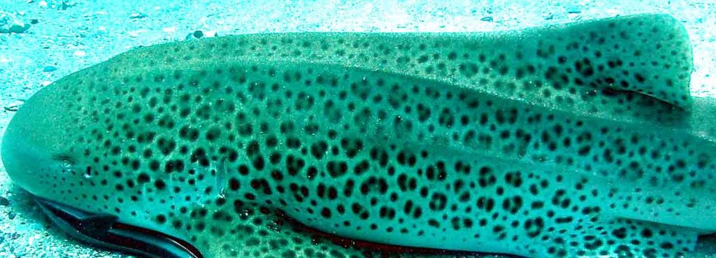 f654f8bc-51c3-4635-b84a-8d00cf2998af