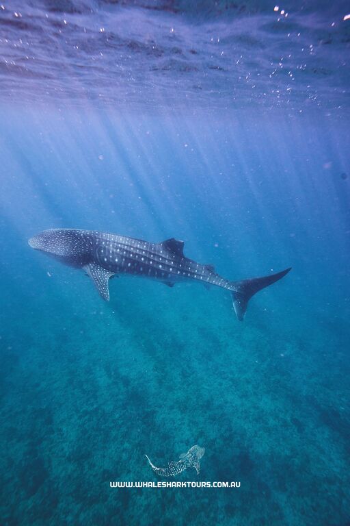 b20a7e20-e675-47a1-80b9-0e3336cb67f6