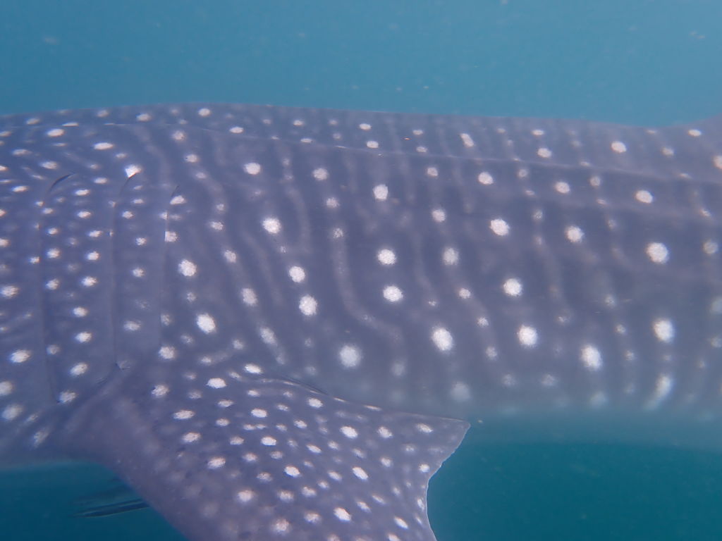 e7b6b02d-97e8-4a98-baa8-ef1b735fb8f2