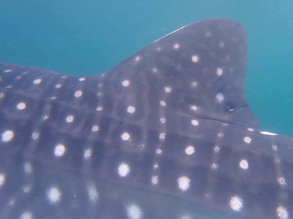 e7b6b02d-97e8-4a98-baa8-ef1b735fb8f2