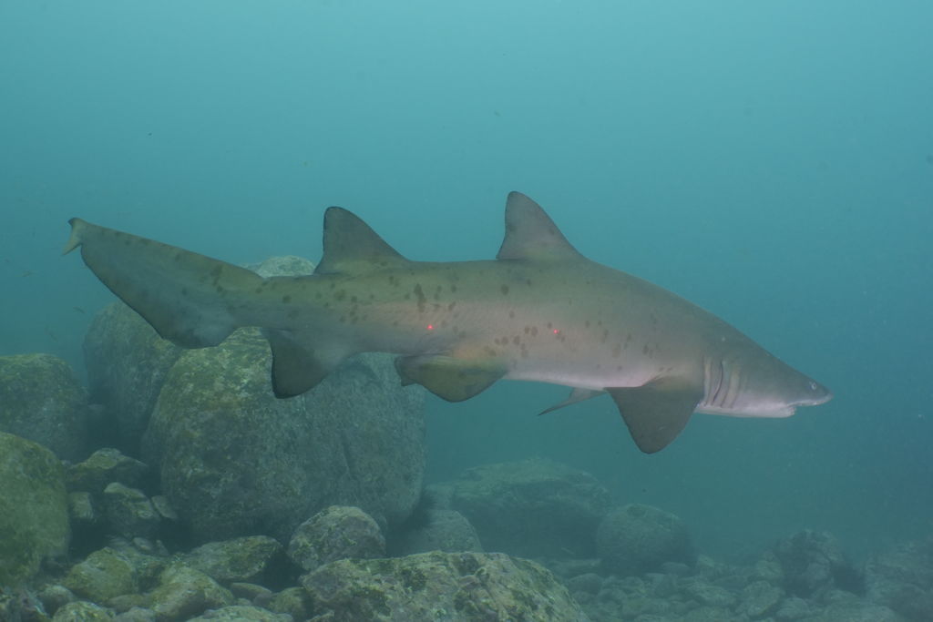 39a8eee8-6869-473f-aba0-6343ca8b2f8a