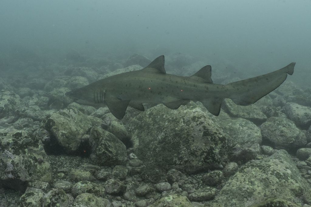 39a8eee8-6869-473f-aba0-6343ca8b2f8a