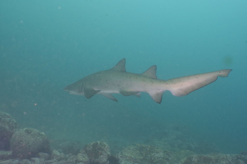 39a8eee8-6869-473f-aba0-6343ca8b2f8a