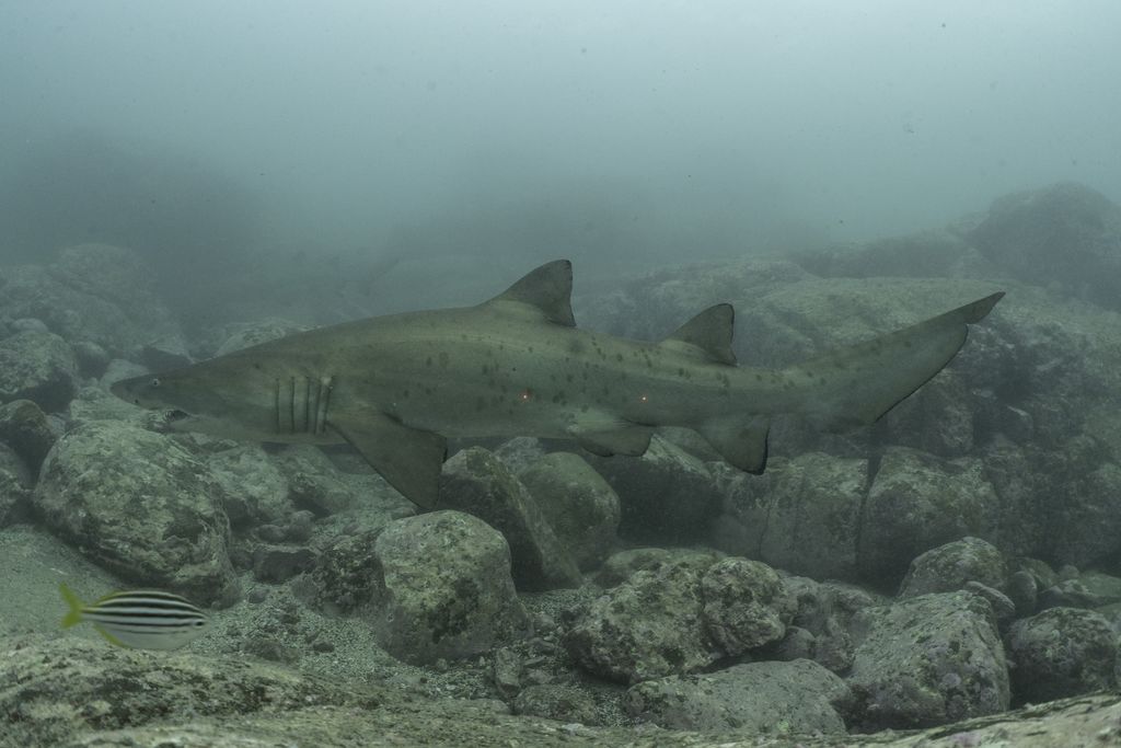 39a8eee8-6869-473f-aba0-6343ca8b2f8a