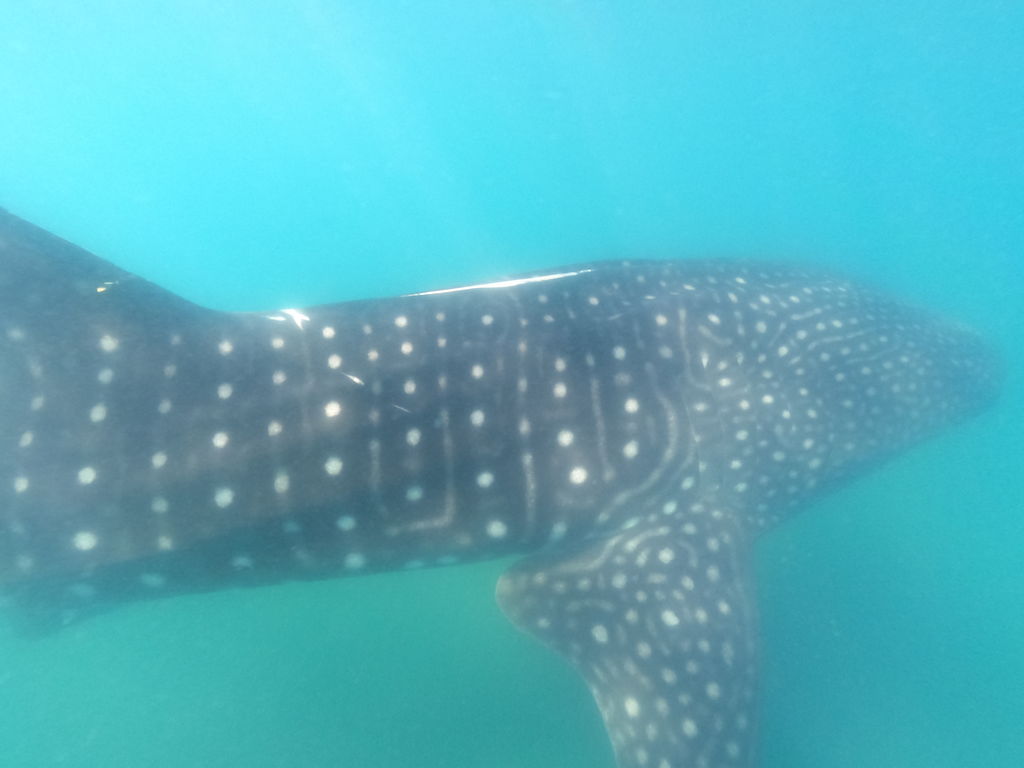 a4d4d169-cfda-4936-a07d-db98db6b4a0f