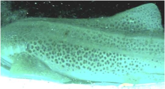 083b78aa-5c3f-4ffd-9b2e-14ac368afc84