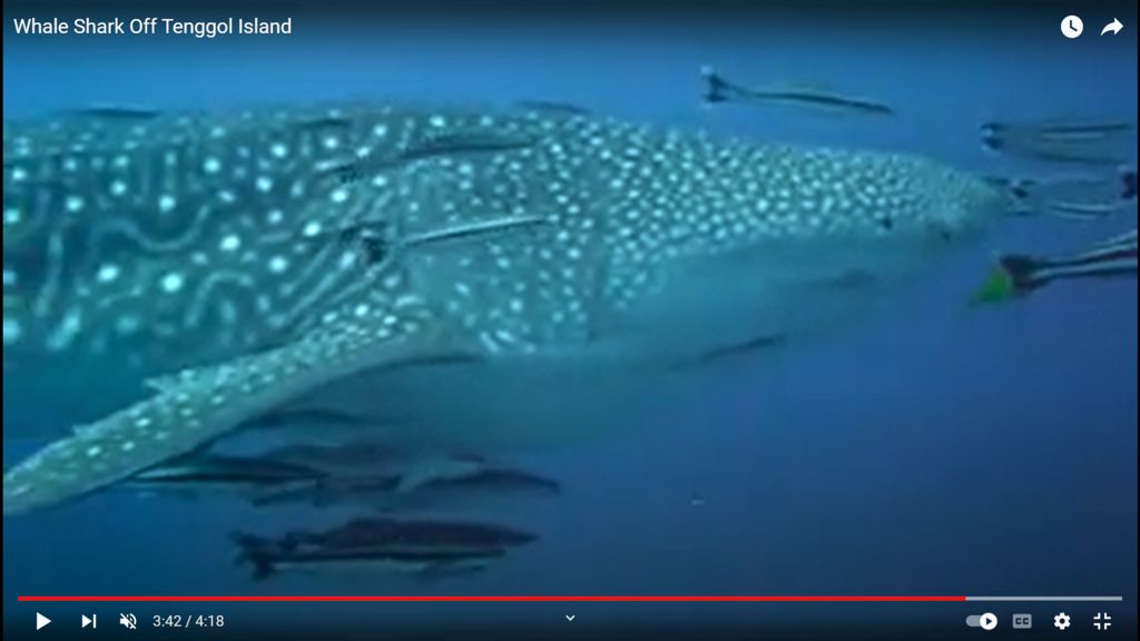 b979ec6a-45b8-44c5-a09e-7ca1987e9035