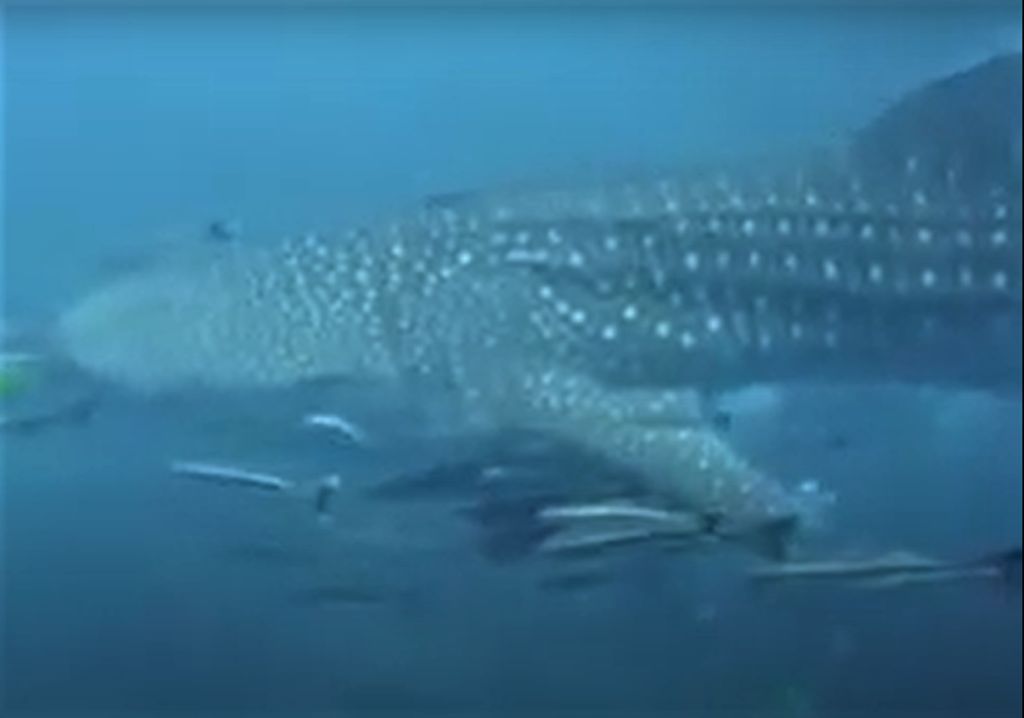 b979ec6a-45b8-44c5-a09e-7ca1987e9035