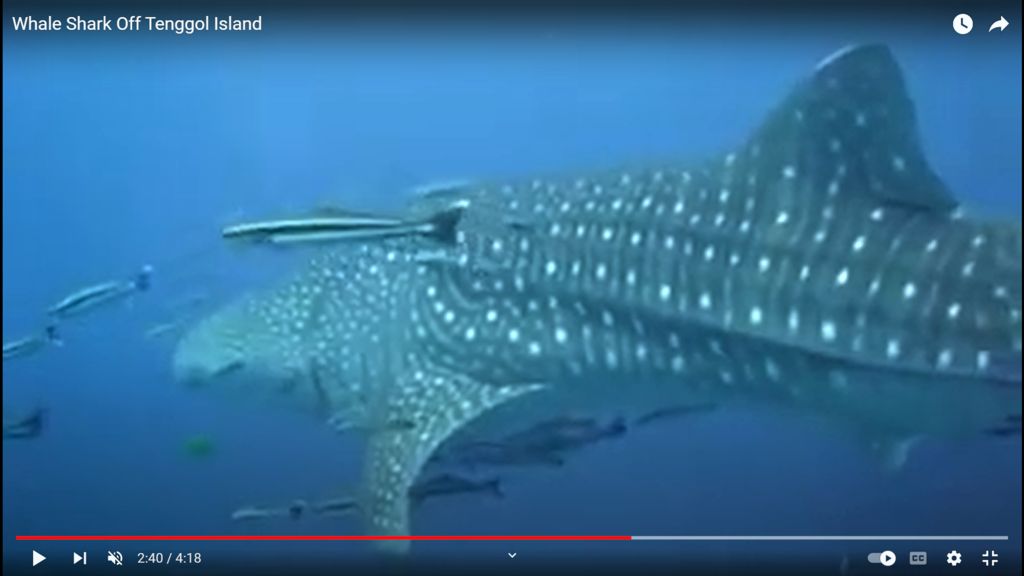 b979ec6a-45b8-44c5-a09e-7ca1987e9035