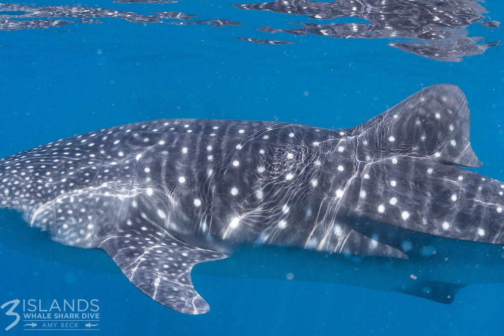 59cb6e64-e4a0-43b6-b2c4-65bfb72be724