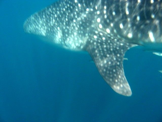 631e97d3-837b-4762-835d-a377c56b941b