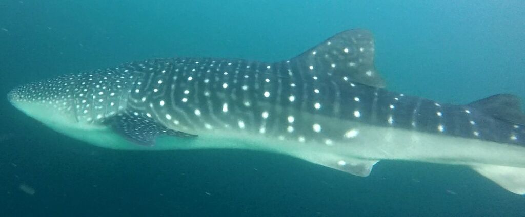 ebd7d831-5424-4eb7-af39-4526e4d70f74