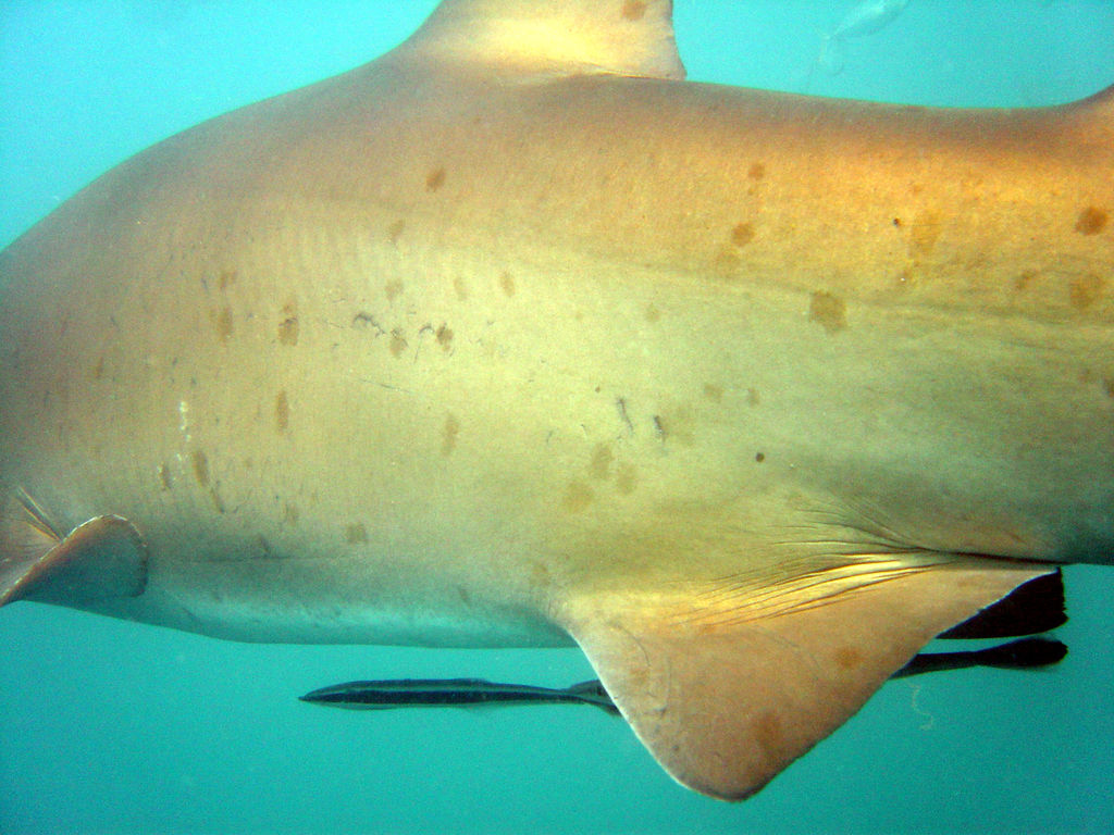 17a5af92-bca6-4268-ab4d-66ddb1ccde0a