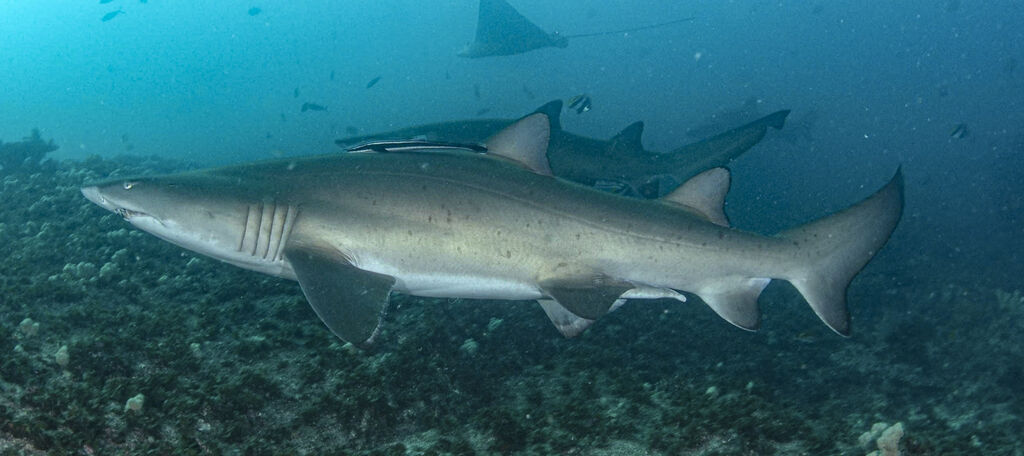 fdfcbad9-3440-47b3-94bb-051a0da3756f