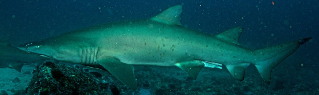 3657eca3-f3ad-43bb-ad5c-0e76b0ed6abf