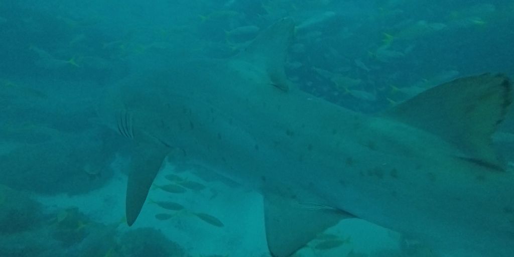 c98e45be-2c89-4488-8eae-84a7715149ac