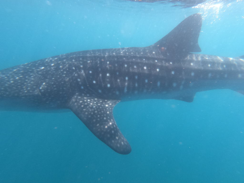 2ab0916c-639d-4db0-afb5-1e8d77f9648e