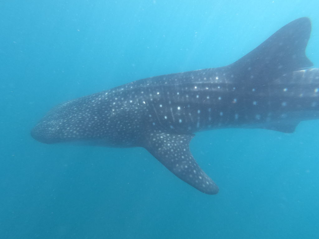 2ab0916c-639d-4db0-afb5-1e8d77f9648e