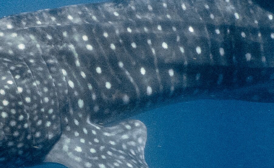 6bc91eb4-8e61-4d38-afaa-a29d8af2d855