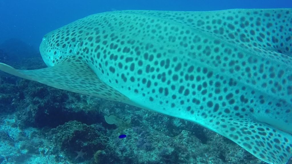 ac4ff84b-d4d0-460d-b267-4dfc0f049512