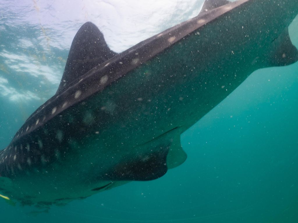 396e1e26-fb16-46ad-ad17-ae3cfad1b0f2