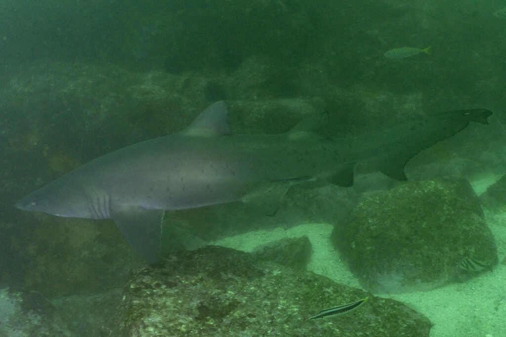 c2e2da64-e451-4cca-916b-53006642014c