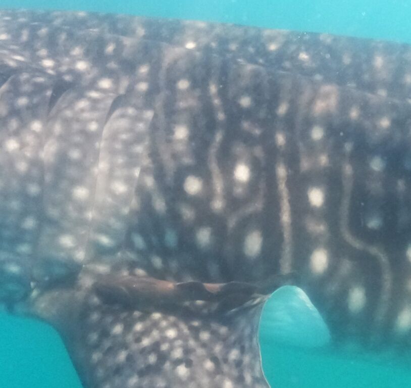 cee208f9-1cd5-4dec-a62c-f809b08fb807