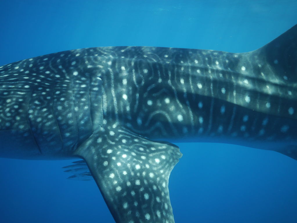 c6b91498-f2fd-49f2-b87d-fd7946c7c774