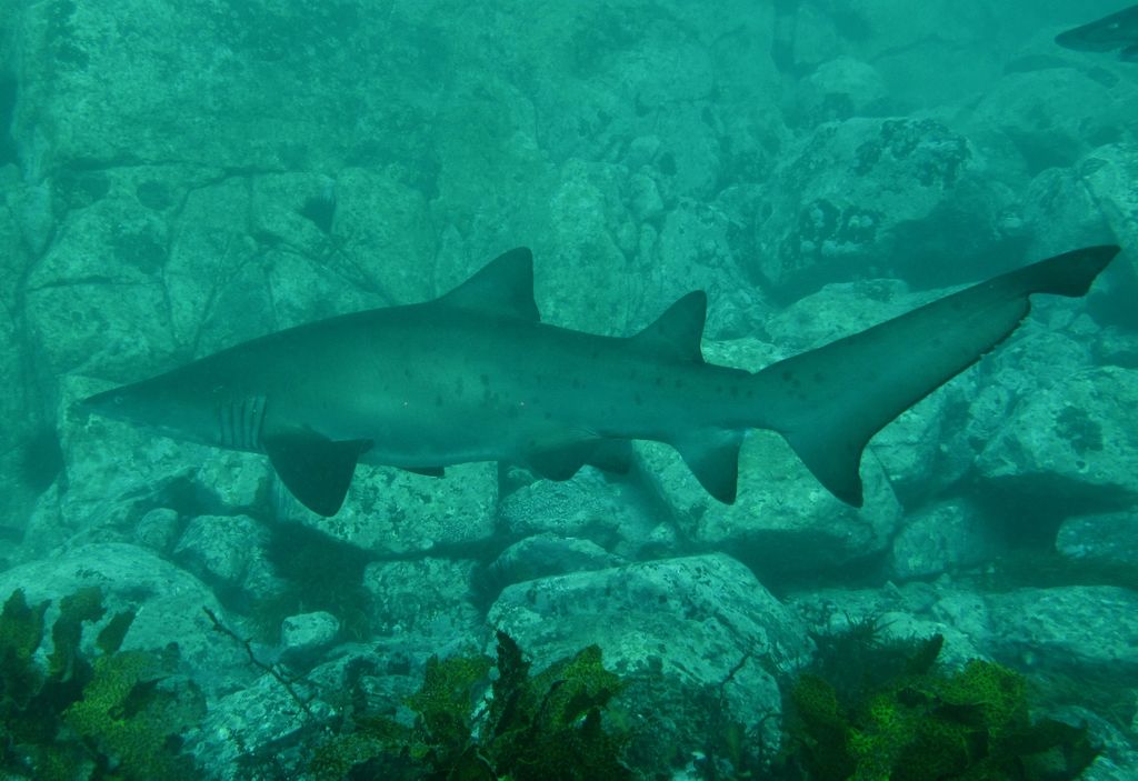 04c0b7e4-0600-4892-b545-8c6d292a8853