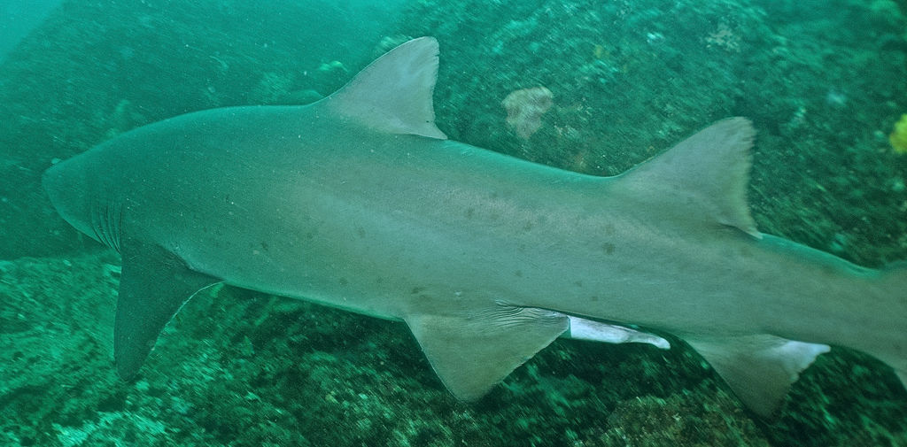 0d7054ca-da25-4e48-af64-6d871bea4493