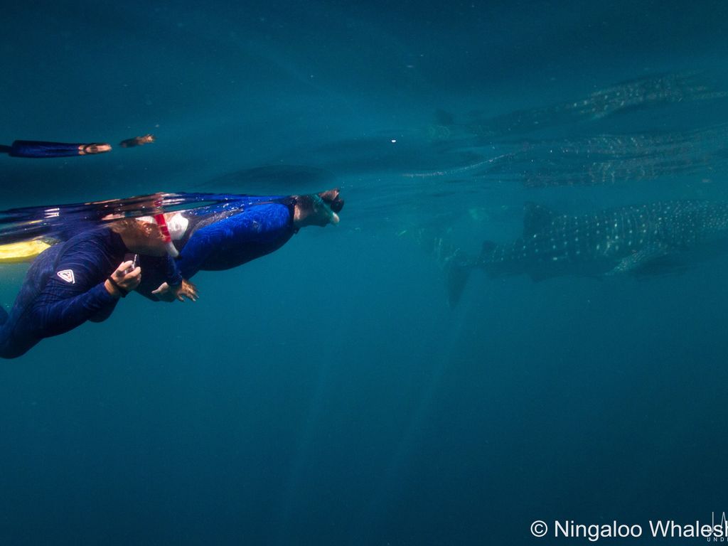 3a5b607d-857a-4109-adae-1e6754ec99d5