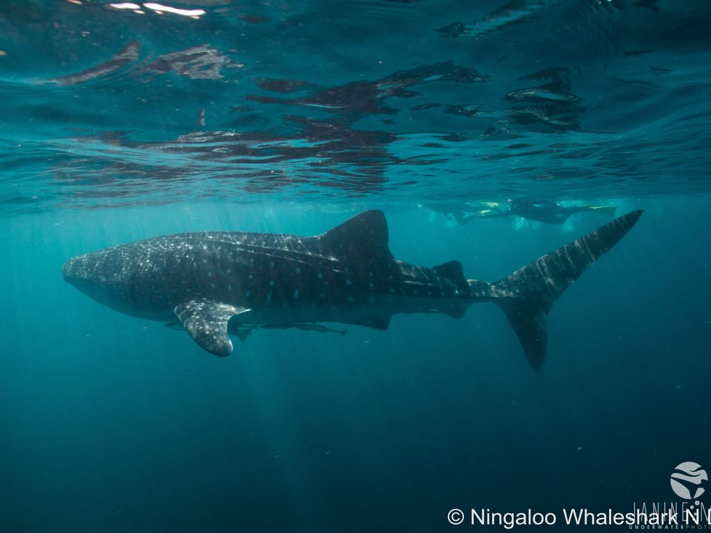 3a5b607d-857a-4109-adae-1e6754ec99d5