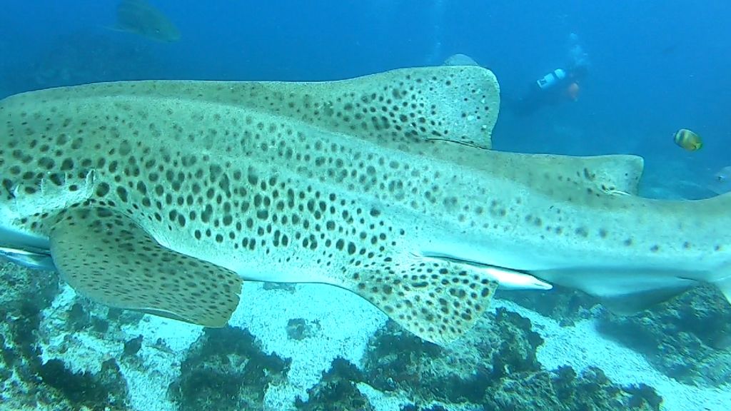 822a09dc-09dc-4158-817d-b5d1def3de39