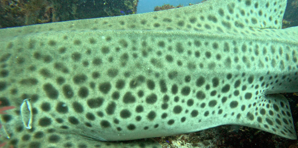 ca13dac3-babb-4a4e-9b70-5731f058892d