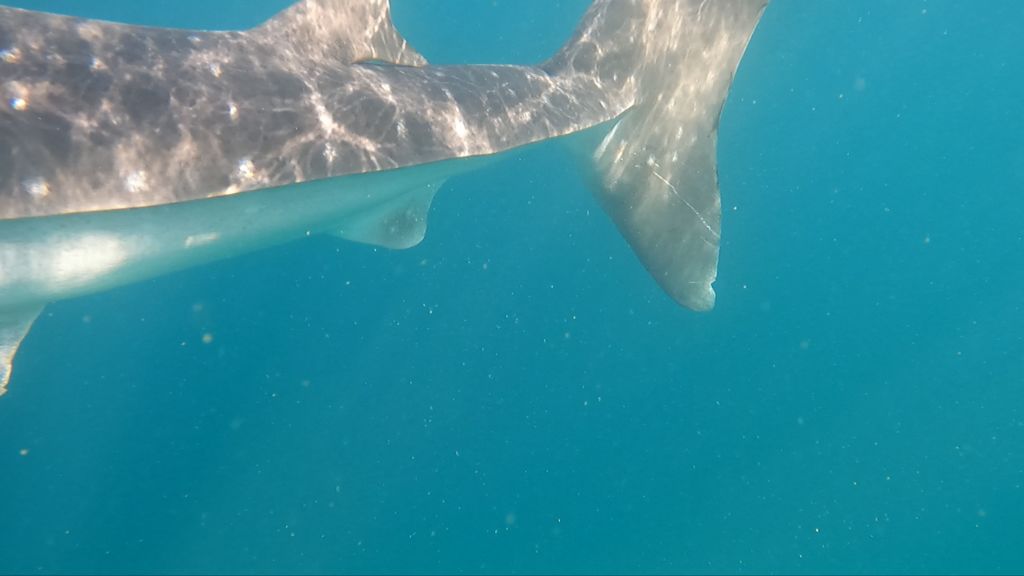 145c6c54-57f6-4fb4-bab6-003301a174af